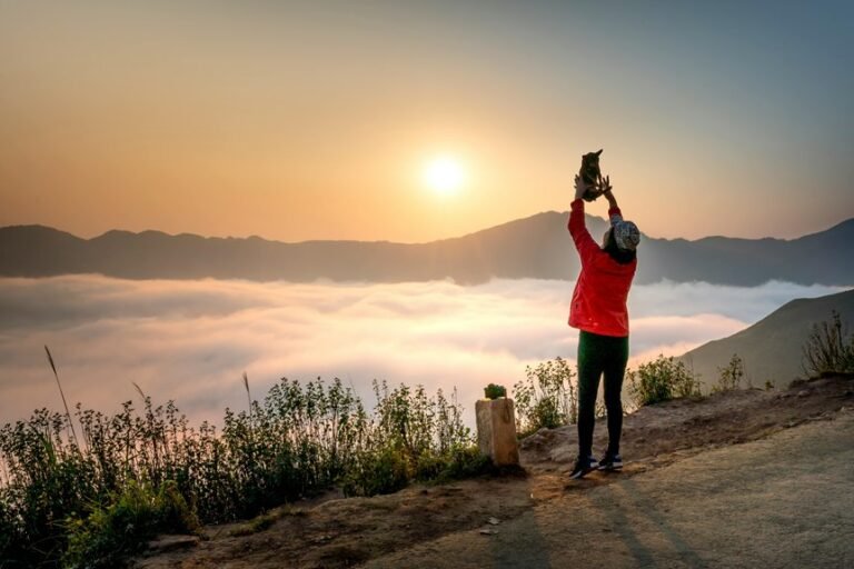 apex summit neural beam