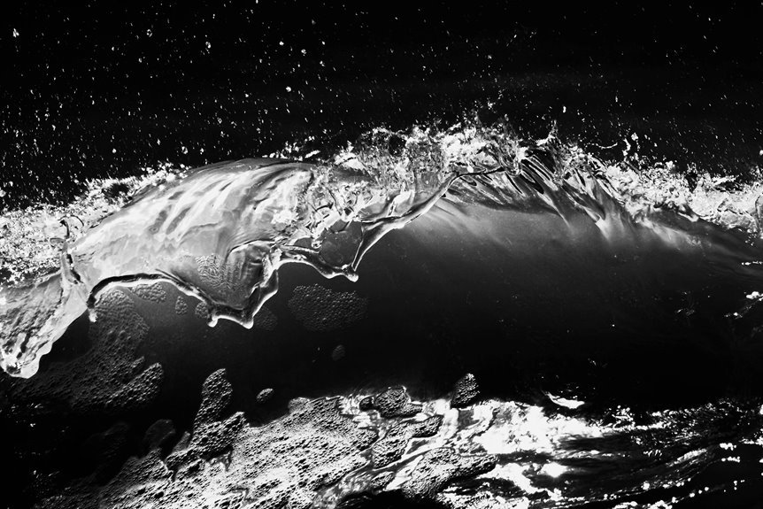 fusion momentum digital crest