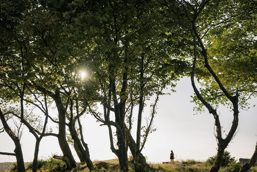 reliable public lookup of 0120619500 with safety insight