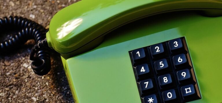 phone numbers listed for user record validation